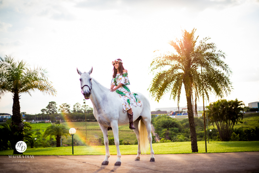 Ensaio Fotografico 15 anos Ana Beatriz no Haras Ponta das Canas em Limeira - SP cavalo Maiara Dias Fotografia