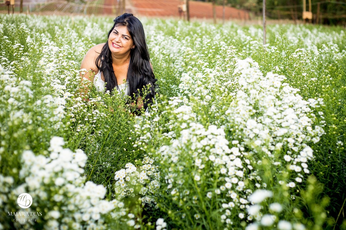 Ensaio Rose 46 Anos primavera flores Holambra - SP