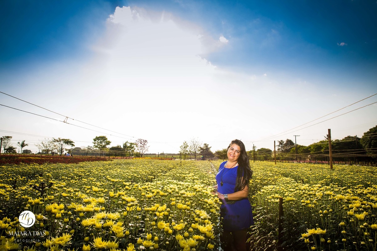 Ensaio Rose 46 Anos primavera flores Holambra - SP