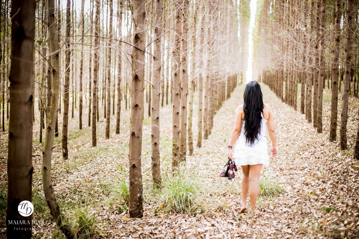 Ensaio Rose 46 Anos primavera flores Holambra - SP