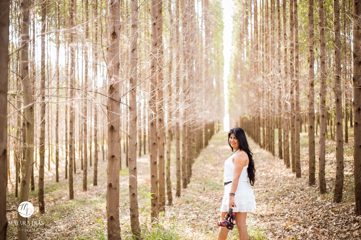 Ensaio Rose 46 Anos primavera flores Holambra - SP