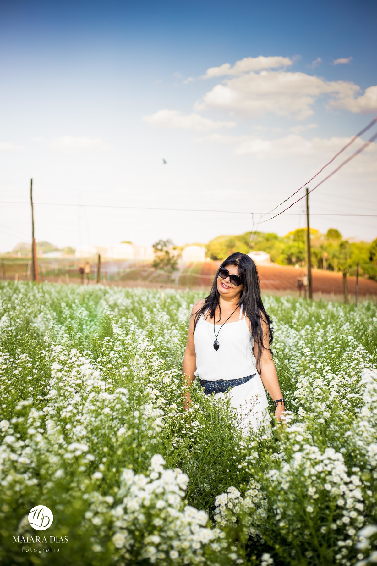 Ensaio Rose 46 Anos primavera flores Holambra - SP