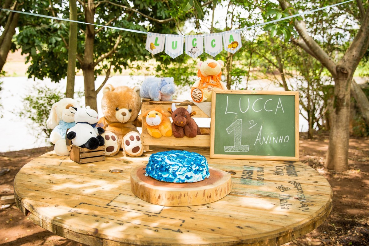 Ensaio fotografico Smash the cake LUCCA com a familia Sumaré - SP