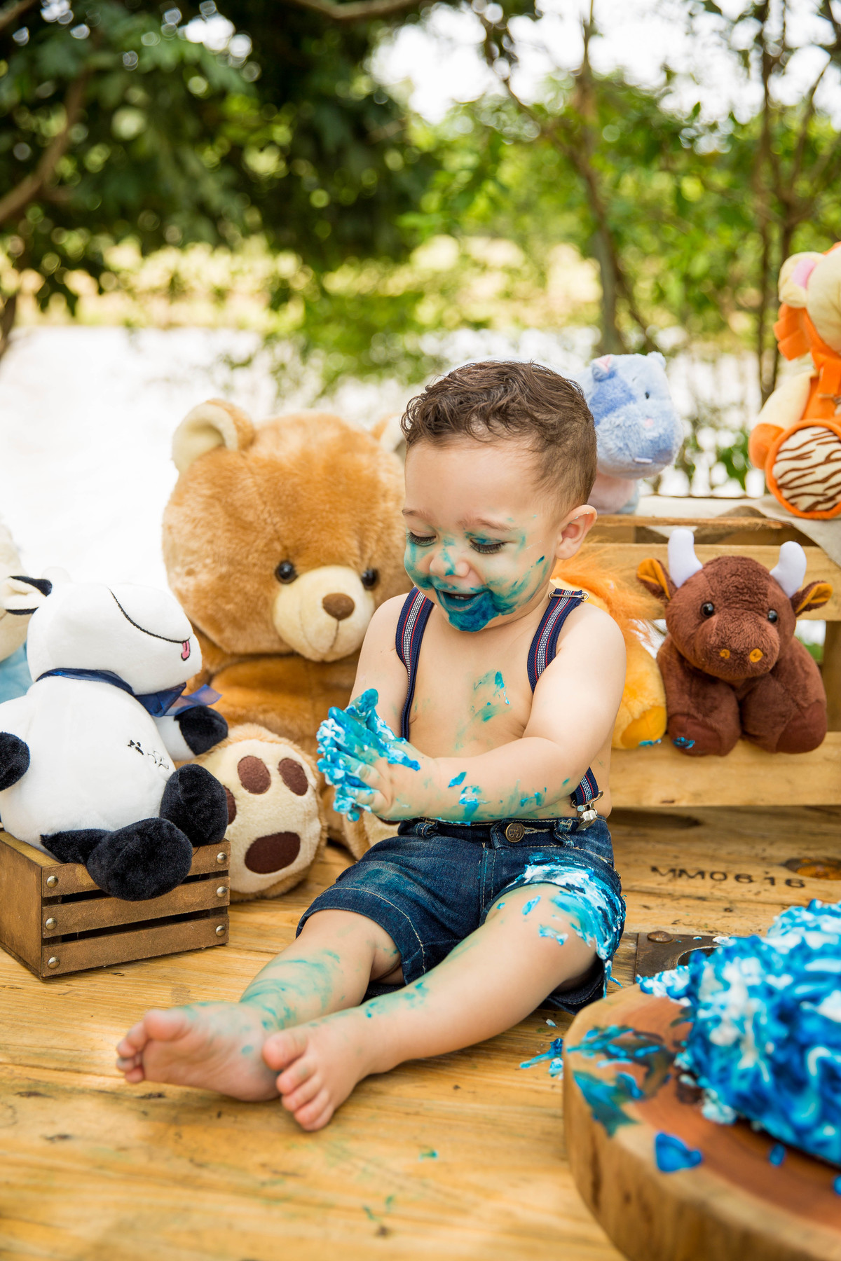 Ensaio fotografico Smash the cake LUCCA com a familia Sumaré - SP