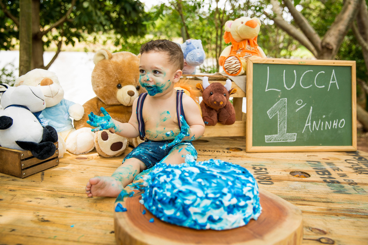 Ensaio fotografico Smash the cake LUCCA com a familia Sumaré - SP