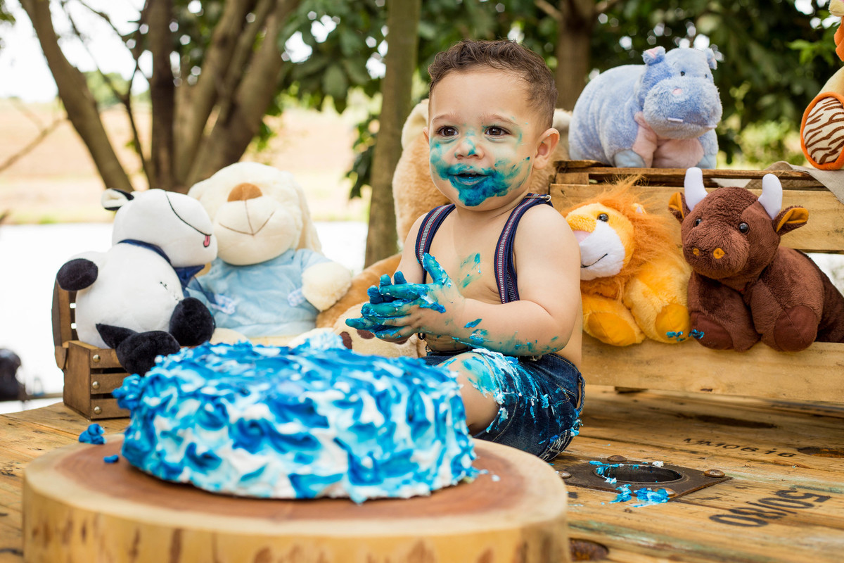 Ensaio fotografico Smash the cake LUCCA com a familia Sumaré - SP