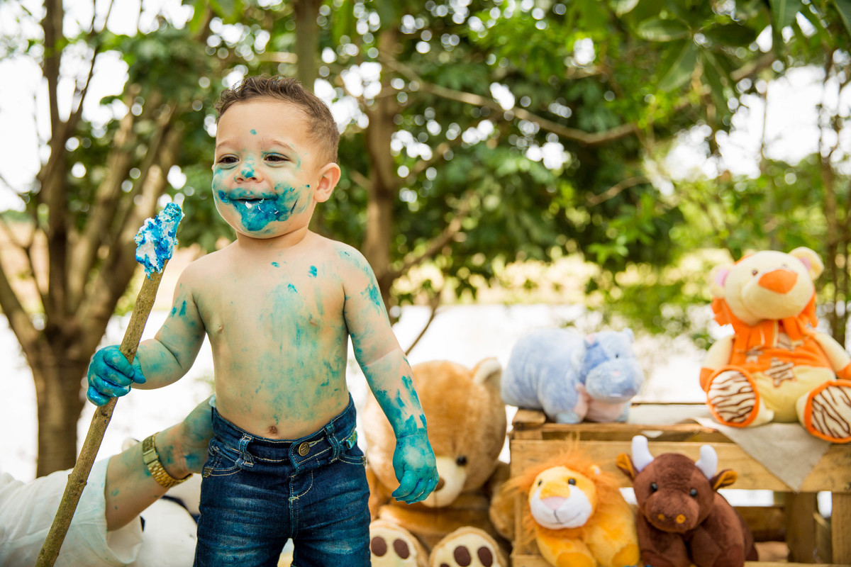 Ensaio fotografico Smash the cake LUCCA com a familia Sumaré - SP