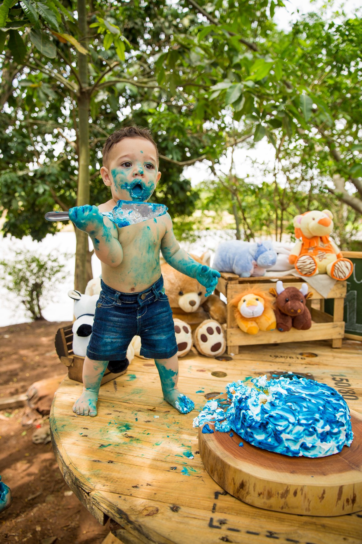 Ensaio fotografico Smash the cake LUCCA com a familia Sumaré - SP