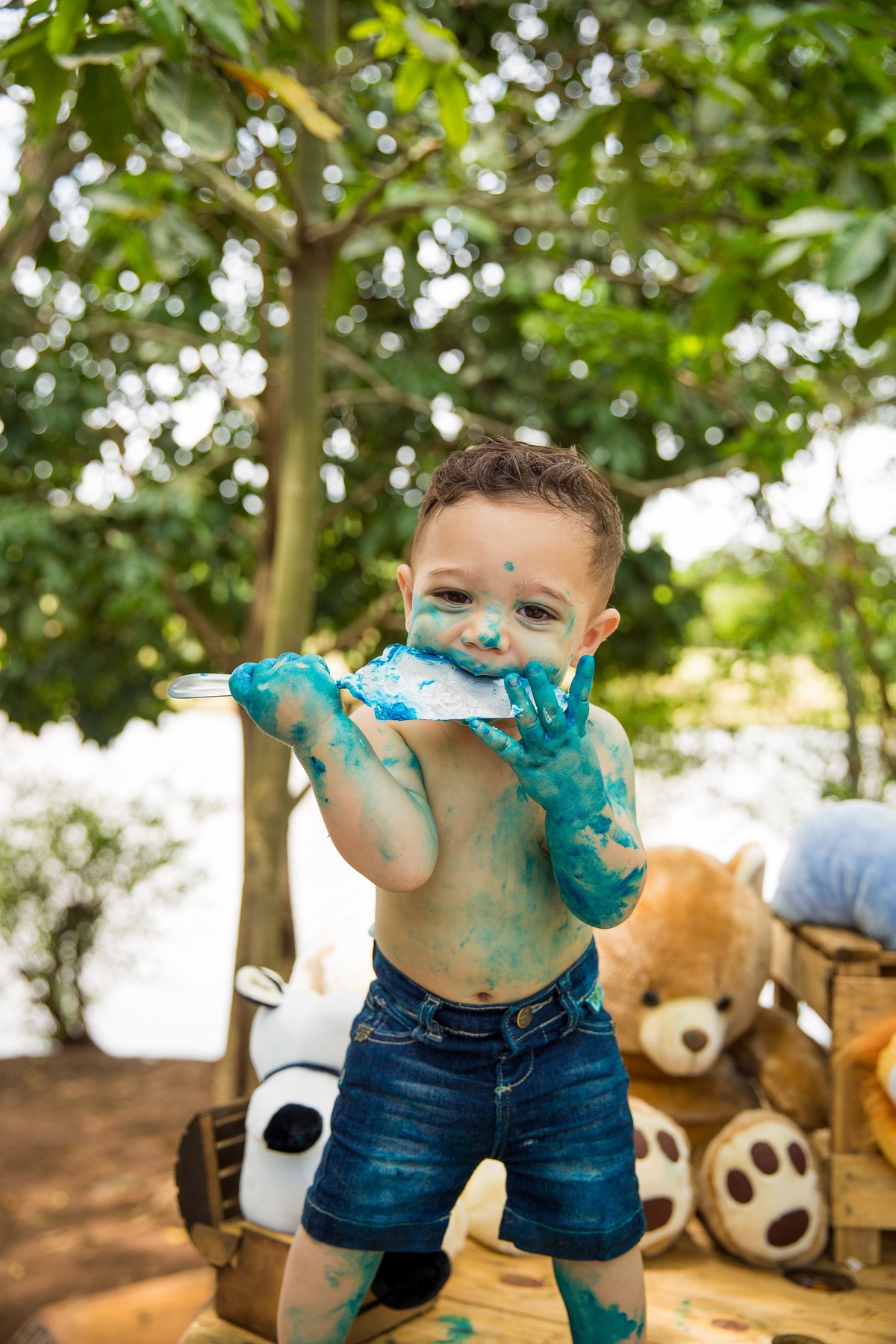 Ensaio fotografico Smash the cake LUCCA com a familia Sumaré - SP