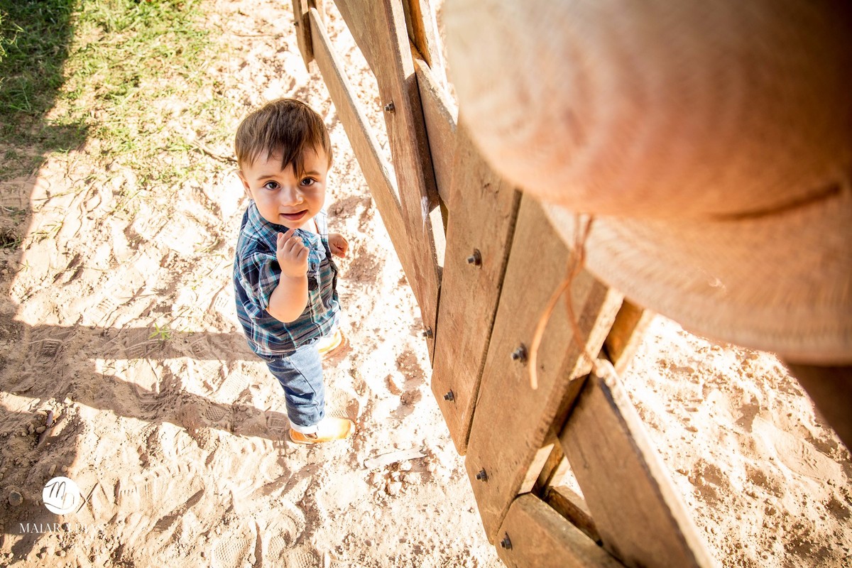 Smash the cake Guilherme sitio, cavalo, ensaio familia book Sumaré - SP