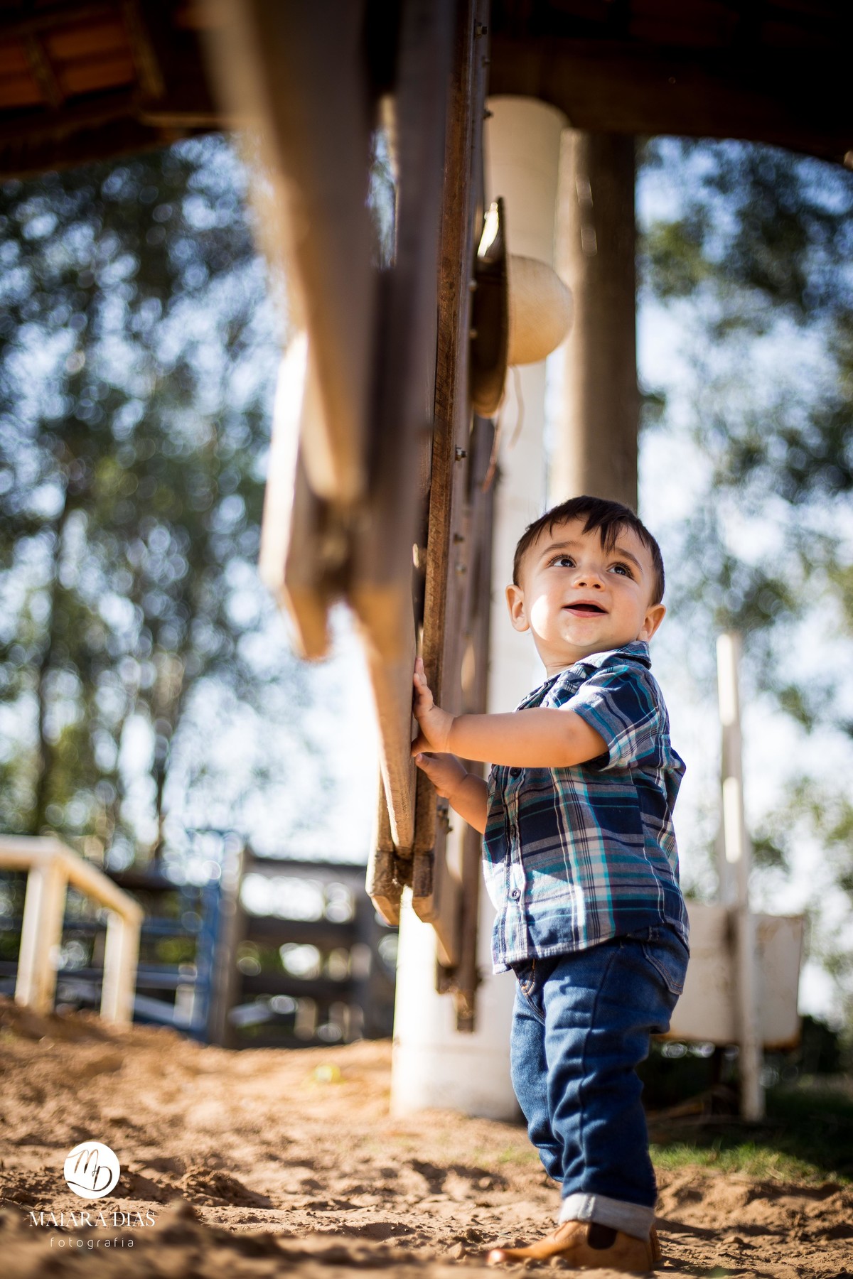 Smash the cake Guilherme sitio, cavalo, ensaio familia book Sumaré - SP