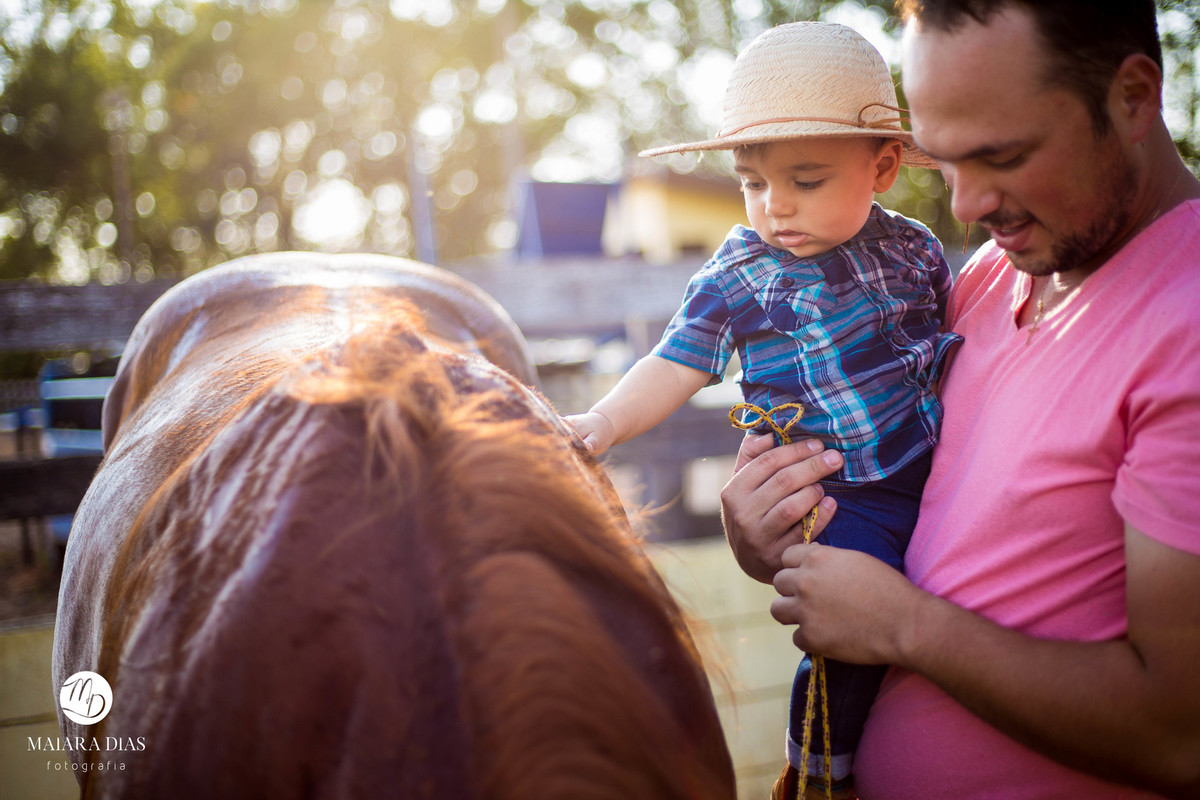 Smash the cake Guilherme sitio, cavalo, ensaio familia book Sumaré - SP