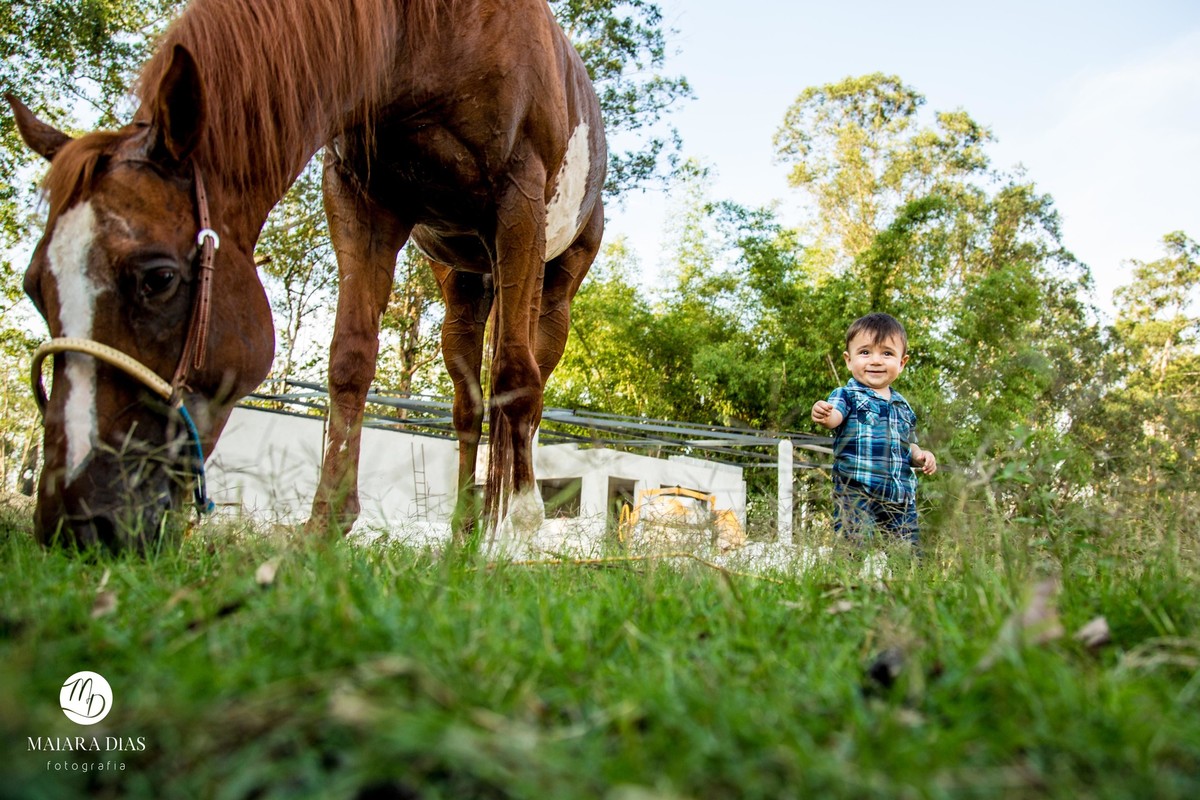 Smash the cake Guilherme sitio, cavalo, ensaio familia book Sumaré - SP