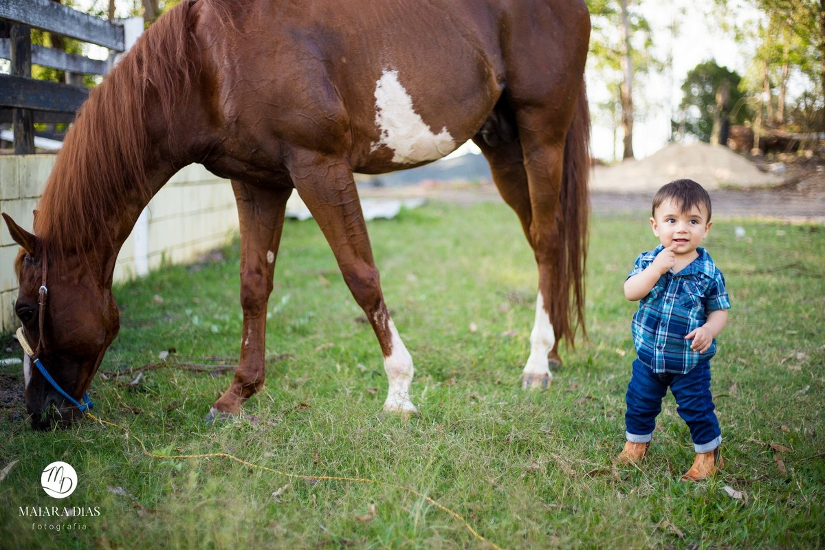 Smash the cake Guilherme sitio, cavalo, ensaio familia book Sumaré - SP