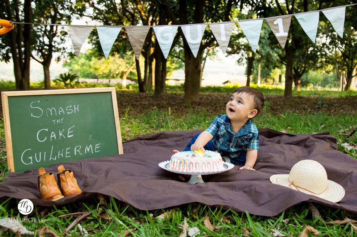 Smash the cake Guilherme sitio, cavalo, ensaio familia book Sumaré - SP