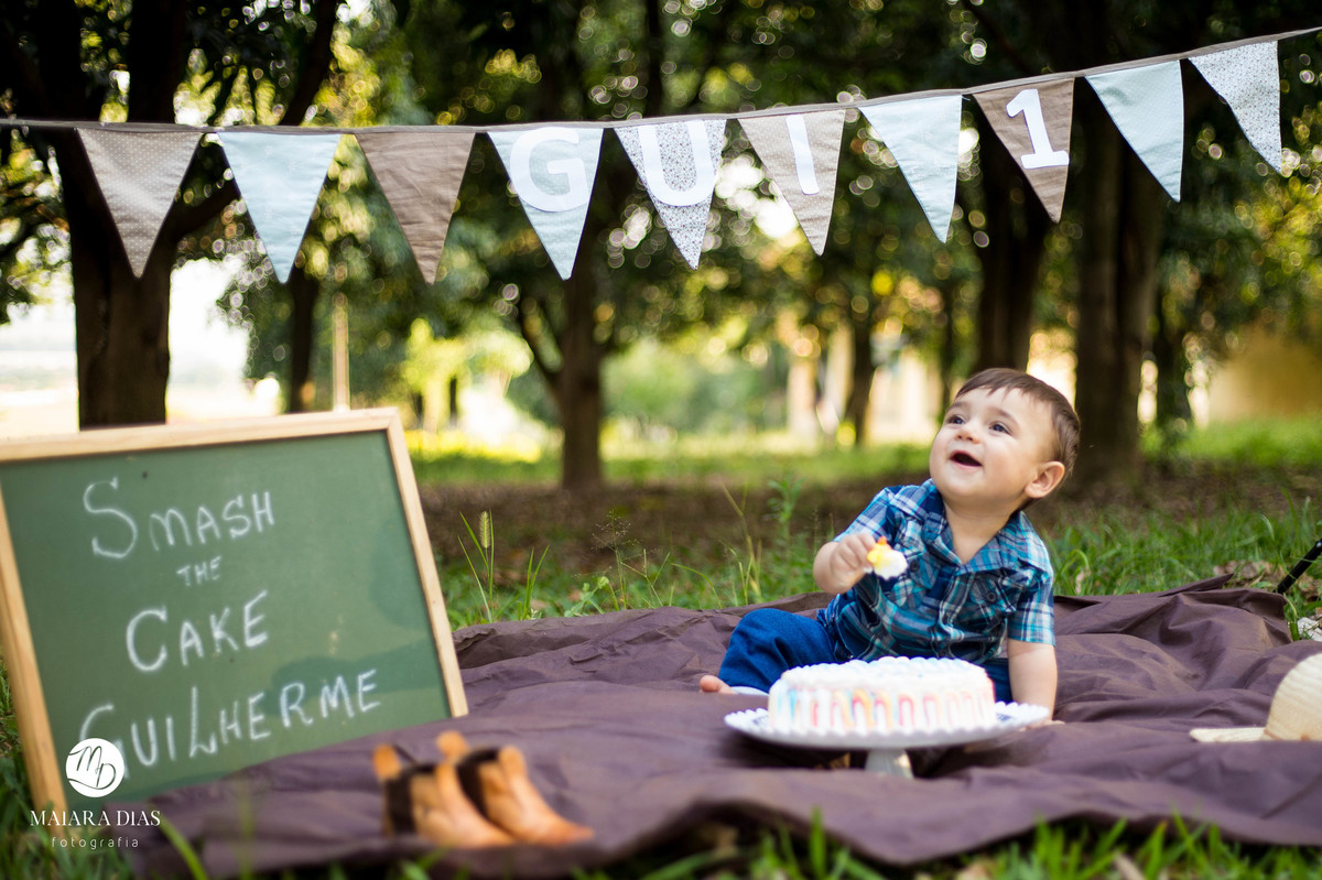 Smash the cake Guilherme sitio, cavalo, ensaio familia book Sumaré - SP