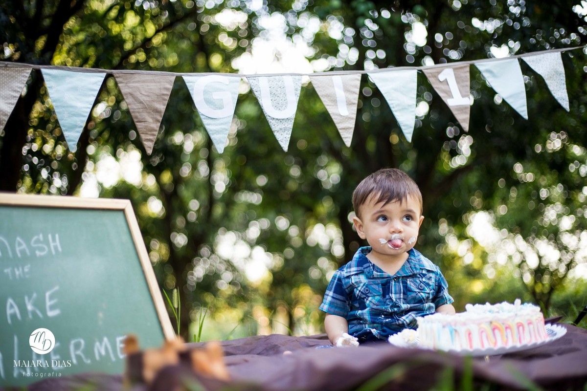 Smash the cake Guilherme sitio, cavalo, ensaio familia book Sumaré - SP