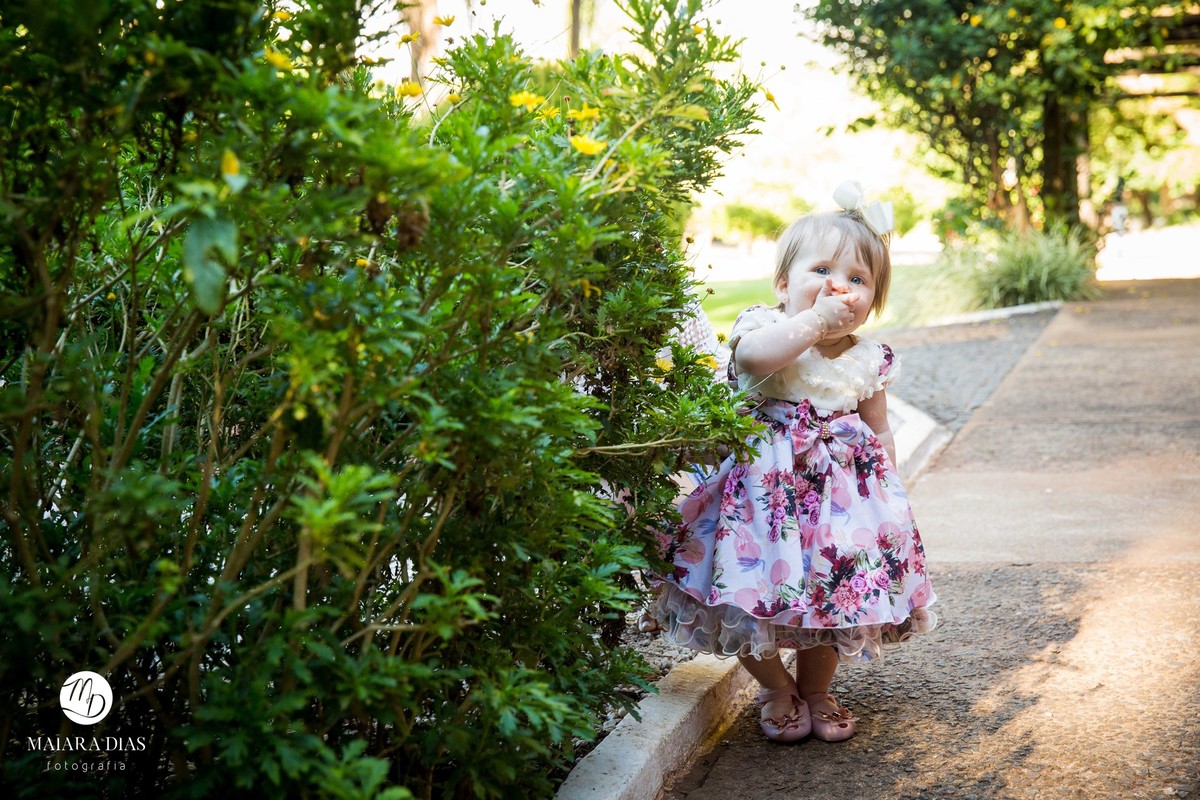 Smash the cake Luiza no parque Zeca Malavazzi Paulinia - SP
