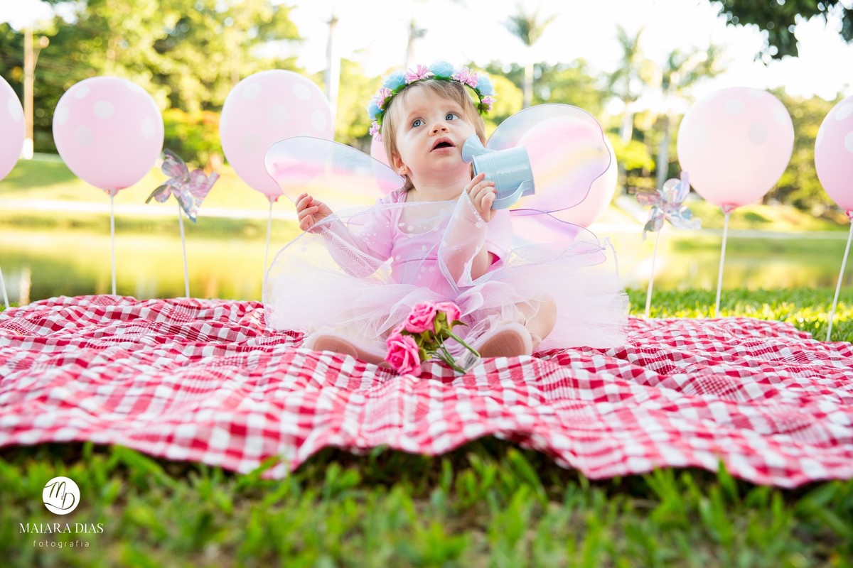 Smash the cake Luiza no parque Zeca Malavazzi Paulinia - SP