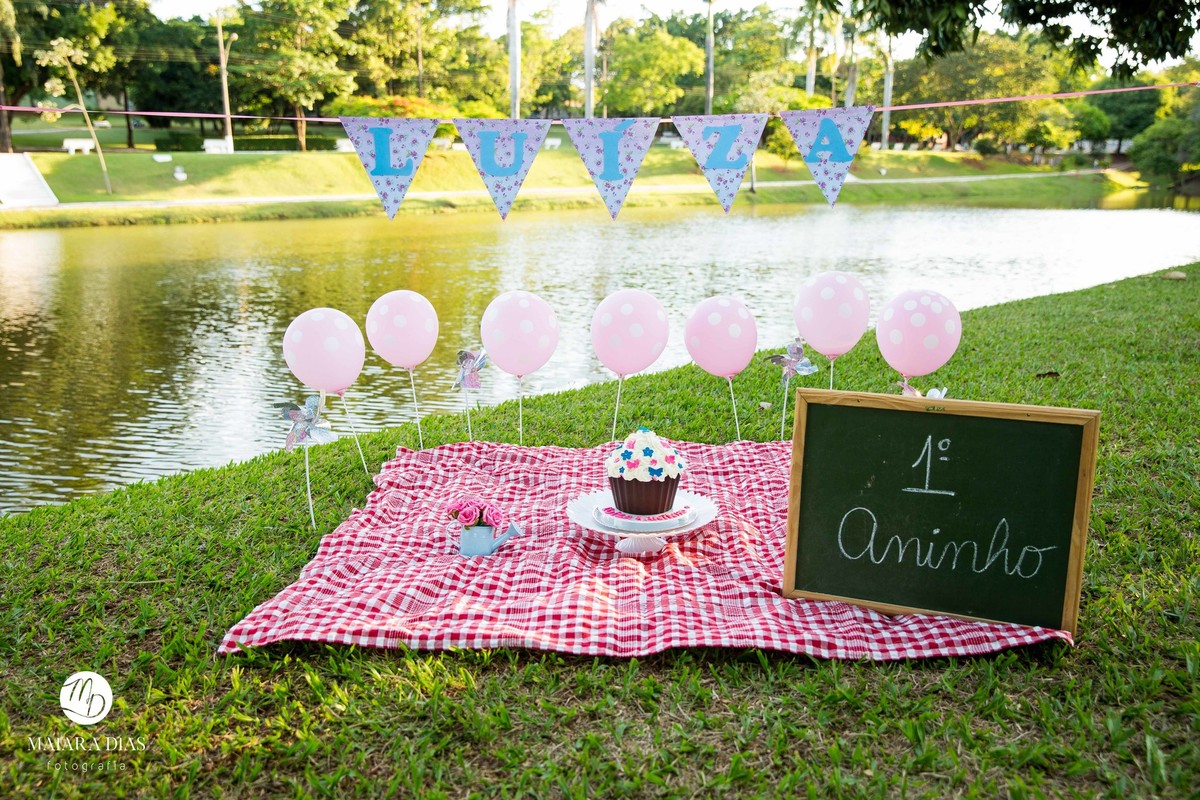 Smash the cake Luiza no parque Zeca Malavazzi Paulinia - SP