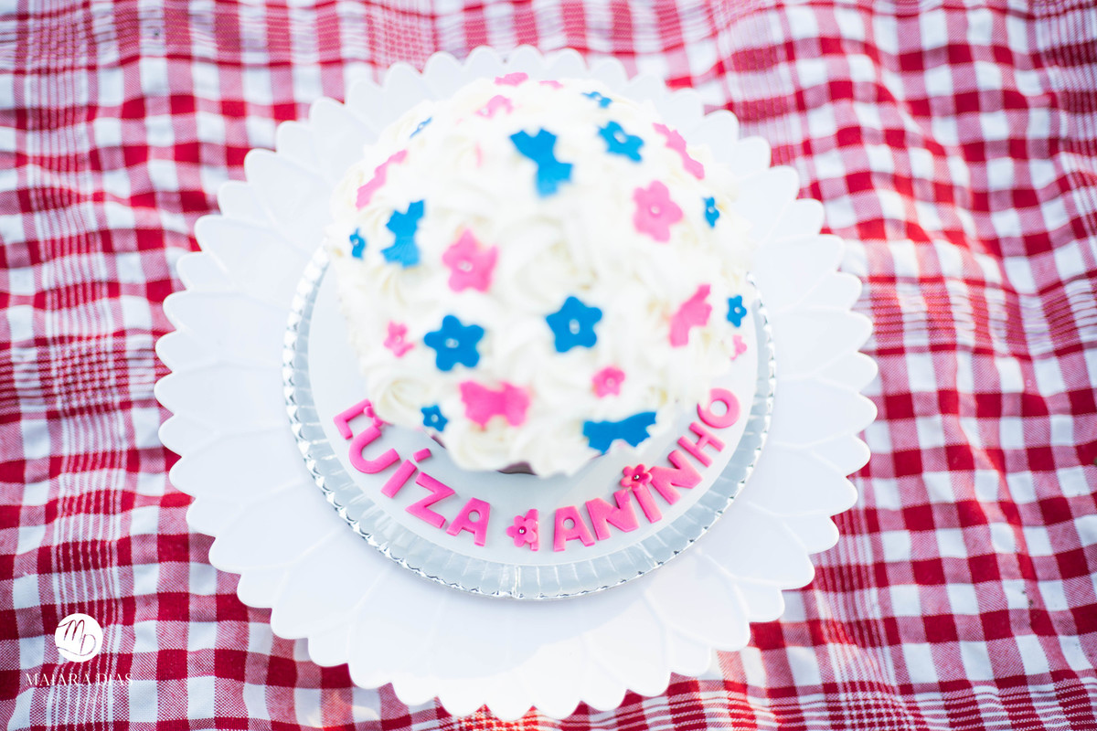 Smash the cake Luiza no parque Zeca Malavazzi Paulinia - SP