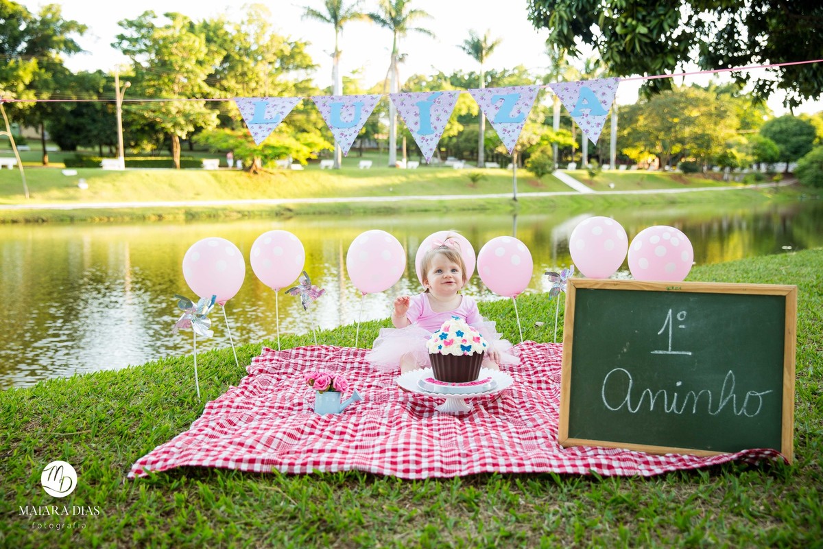 Smash the cake Luiza no parque Zeca Malavazzi Paulinia - SP
