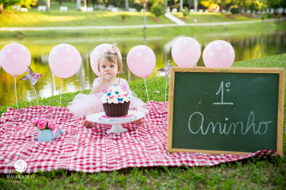 Smash the cake Luiza no parque Zeca Malavazzi Paulinia - SP