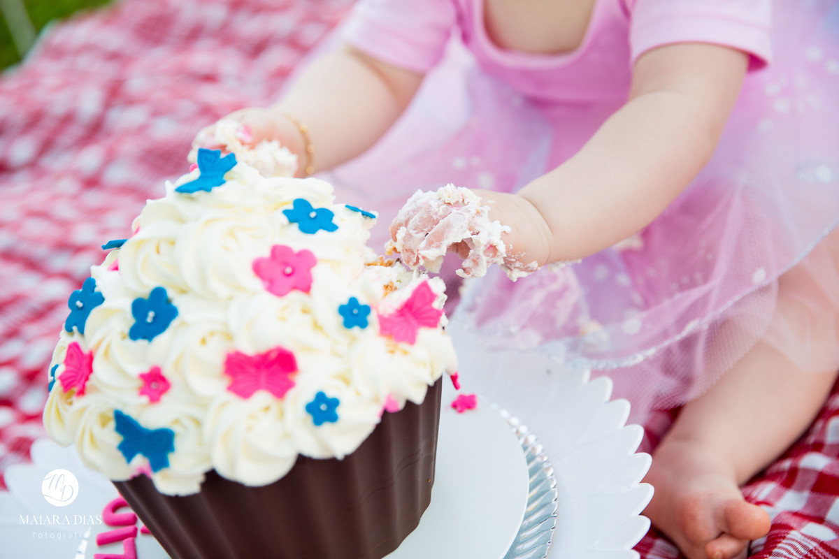 Smash the cake Luiza no parque Zeca Malavazzi Paulinia - SP