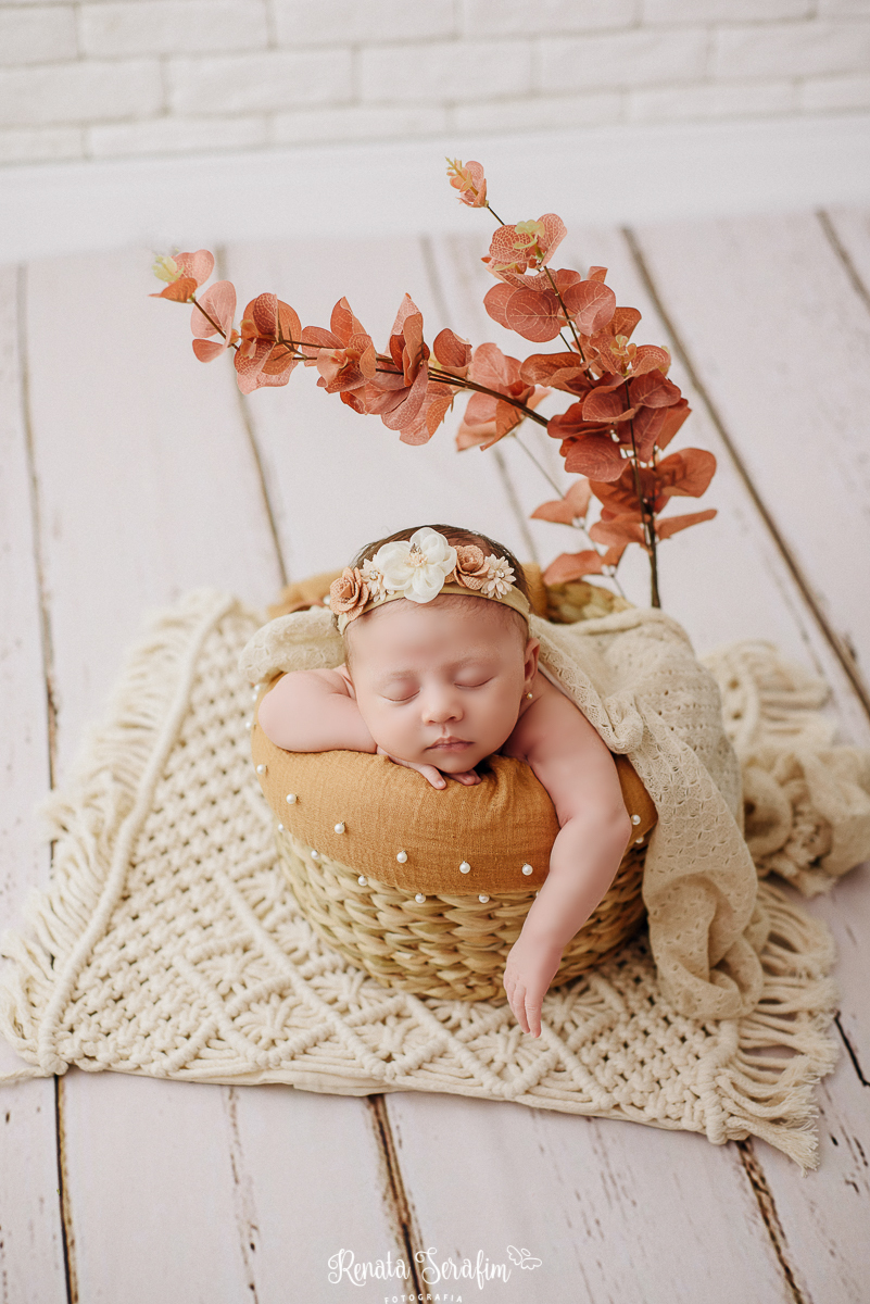 bauru, Dois Corregos e região, Dourados, ensaio de bebe, ensaio de recem nascido, fotografa de recem nascido jau, fotografia de bebês em bauru e região, fotografia infantil, lencois Paulista, newborn jau e região