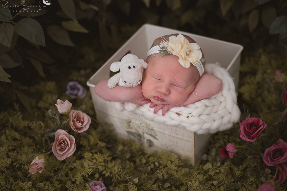 fotografo infantil na cidade de jau