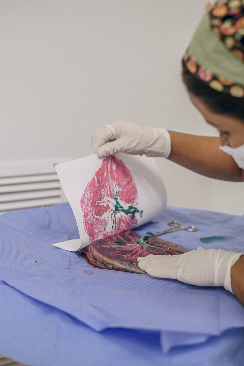 fotografia de parto jau, fotos de parto, bebe nascendo, unimed jau, santa asa jau, unimed bauru, fotografia recem nascido, parto cesarea, fotos de bebe, fotografia em jau e regiao, clinica pailo