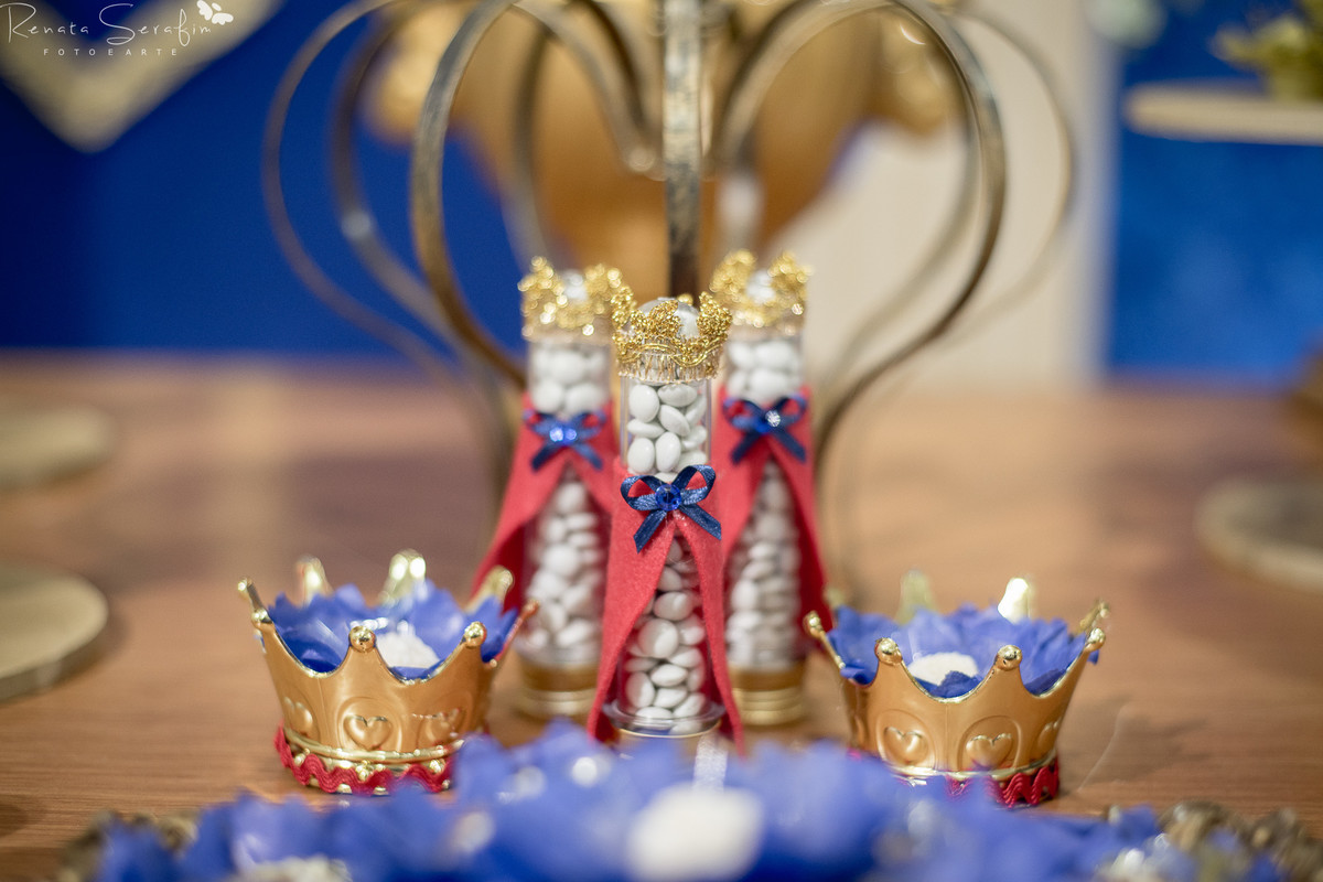 fotografo infantil em jau, festa de um aninho em jau, salão de festas em jau, foto de recém nascido feita pela fotógrafa Renata Serafim