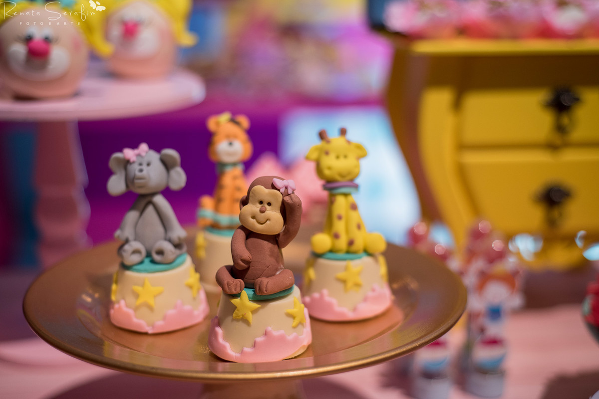 FESTA INFANTIL NA CIDADE DE JAU, FOTOGRAFO EM JAU, BAURU E REGIÃO, FOTO DE BEBE EM JAU