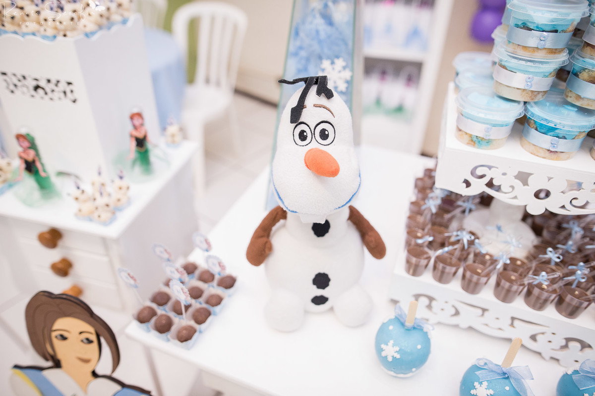 festa infantil em jau, foto de batizado em jau, fotógrafo em bariri, fotografo em jau, fotos decoração festa frozen, igreja de bauru, são de festas jau