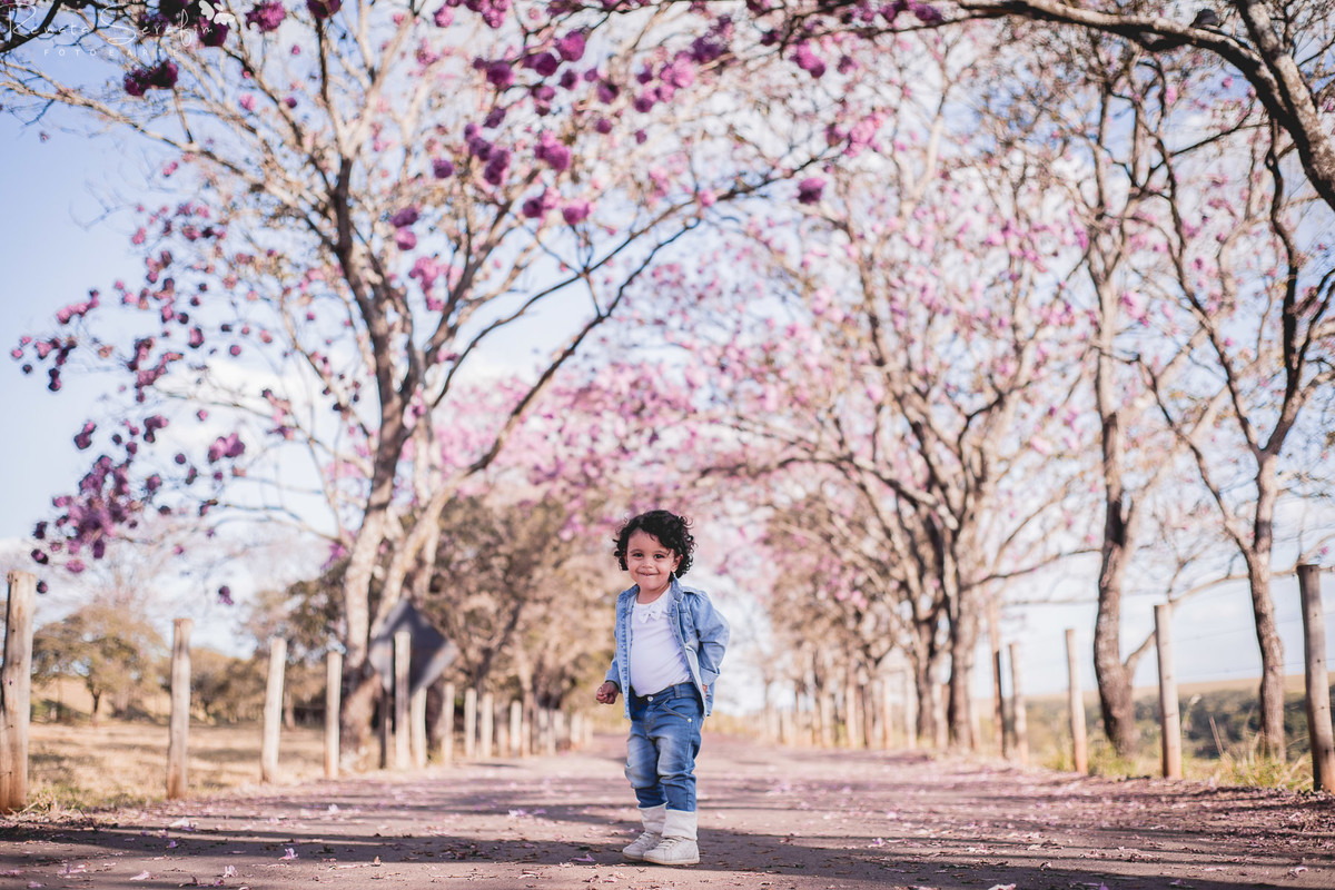 Festa infantil na cidade de bauru; Fotografa bebes; bauru; ensaio fotografico infantil; festa jau; foto de aniversario; foto recem nascido; fotografia de bebe jau; fotografia infantil; gravida;