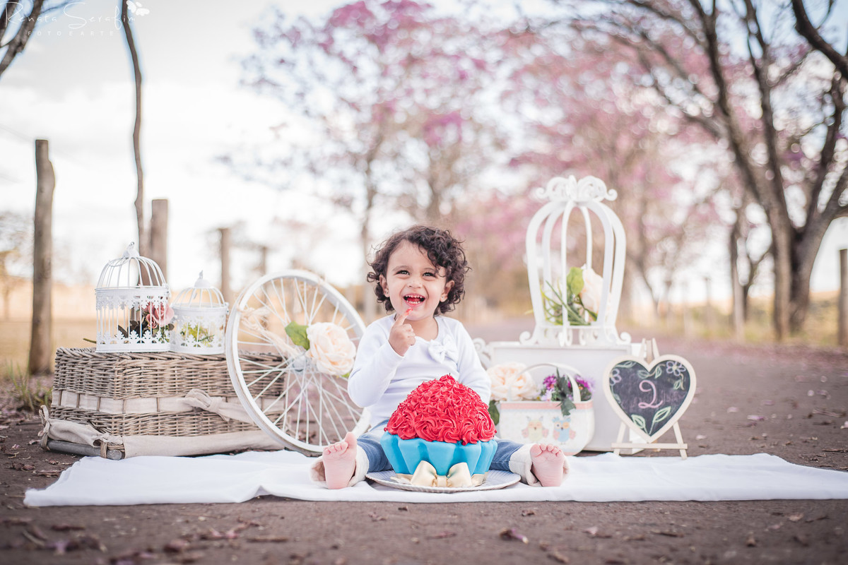 Festa infantil na cidade de bauru; Fotografa bebes; bauru; ensaio fotografico infantil; festa jau; foto de aniversario; foto recem nascido; fotografia de bebe jau; fotografia infantil; gravida;