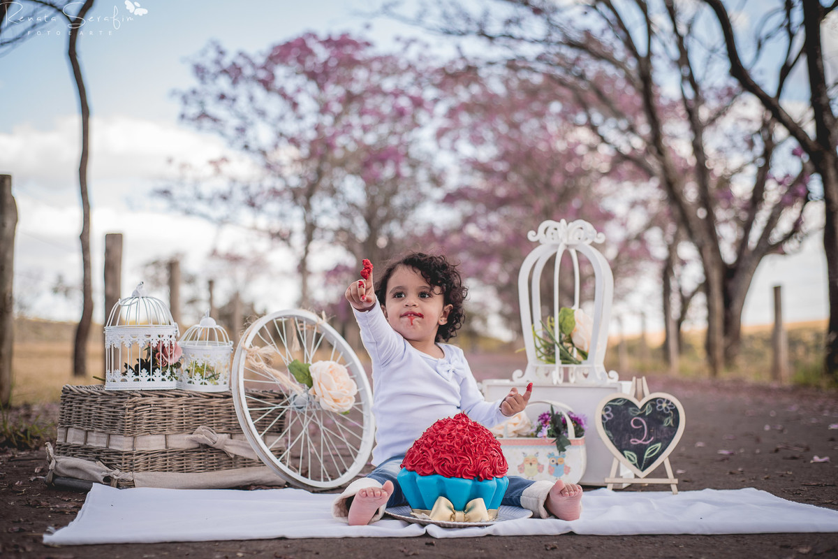 Festa infantil na cidade de bauru; Fotografa bebes; bauru; ensaio fotografico infantil; festa jau; foto de aniversario; foto recem nascido; fotografia de bebe jau; fotografia infantil; gravida;