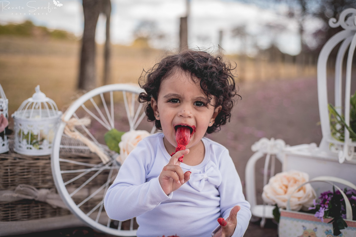 Festa infantil na cidade de bauru; Fotografa bebes; bauru; ensaio fotografico infantil; festa jau; foto de aniversario; foto recem nascido; fotografia de bebe jau; fotografia infantil; gravida;