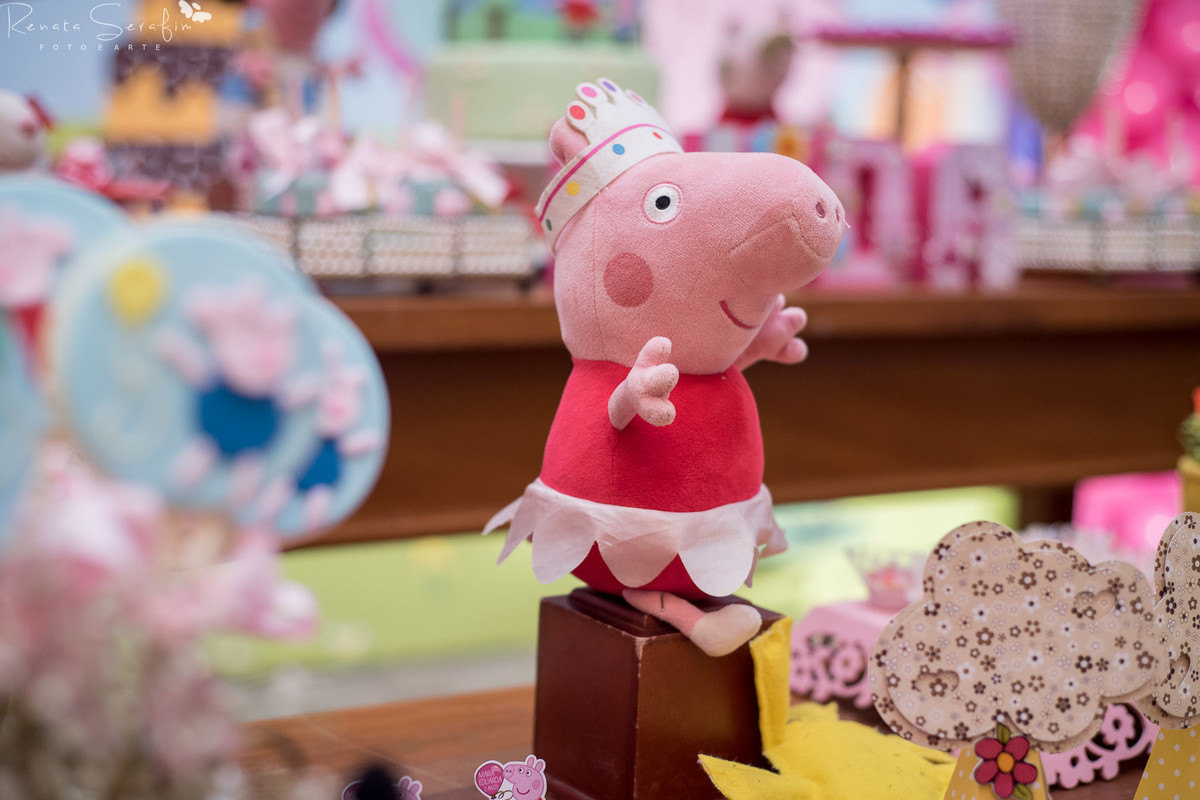 festa infantil em jau,  festas em jau, Fotografa newborn, fotografo festa, fotografia infantil, fotografo em bauru, fotógrafo em jau, peppa pig festa, salaão zoe, Salão algazarra jau, salão em jau