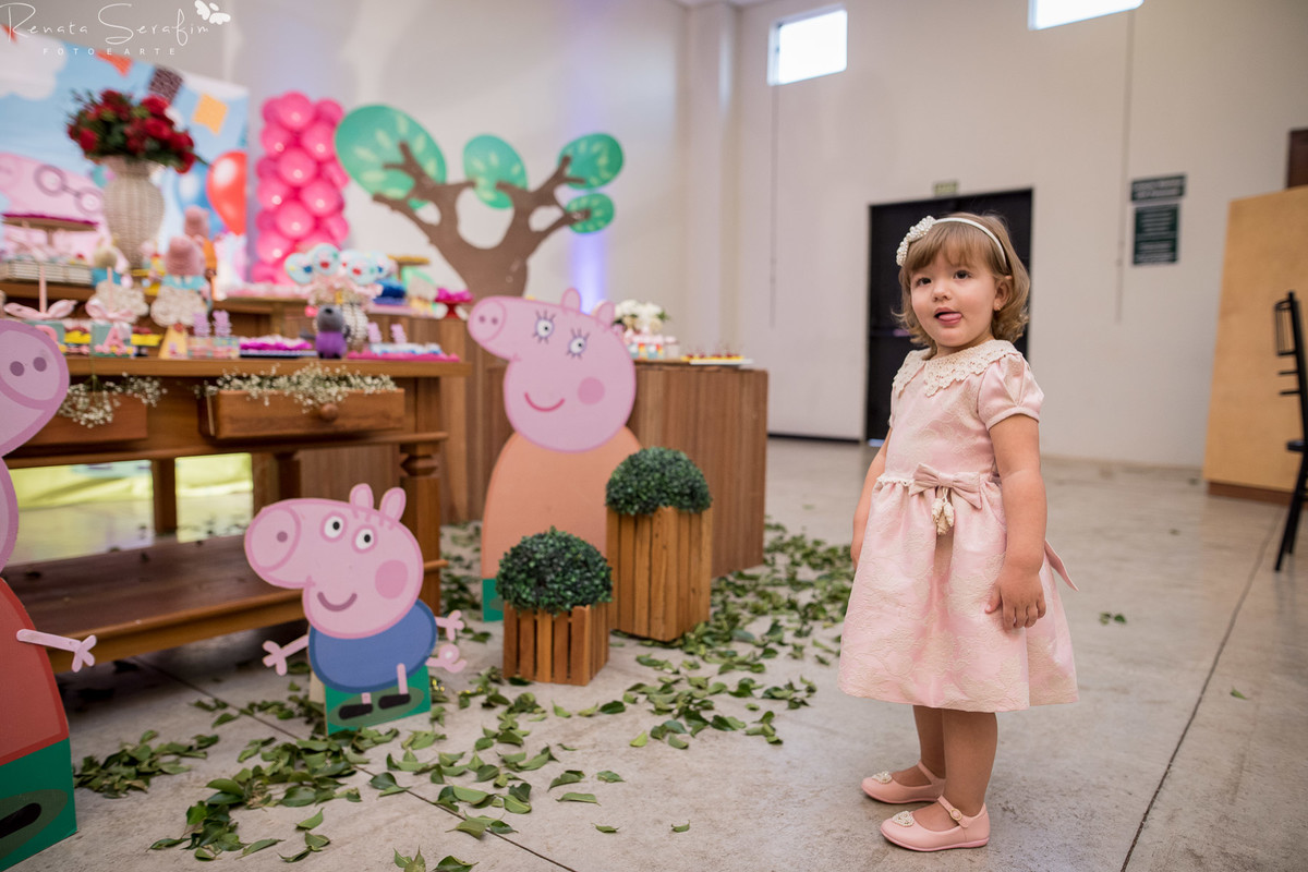 festa infantil em jau,  festas em jau, Fotografa newborn, fotografo festa, fotografia infantil, fotografo em bauru, fotógrafo em jau, peppa pig festa, salaão zoe, Salão algazarra jau, salão em jau