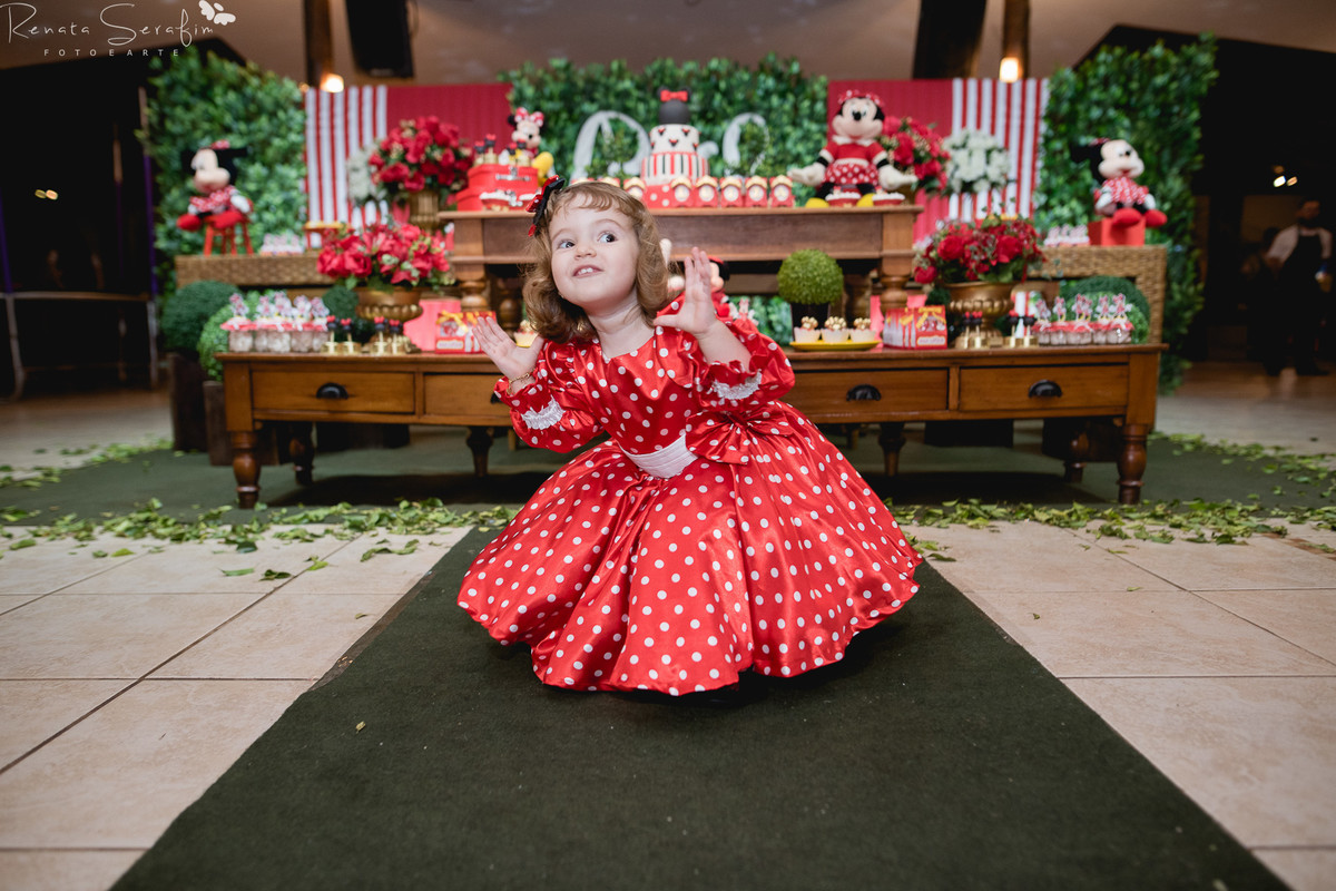 Festa infantil na cidade de bauru, festas em jau, foto de aniversario, Fotografa bebes, fotografia infantil, fotografo de aniversario, fotógrafo infantil, jau