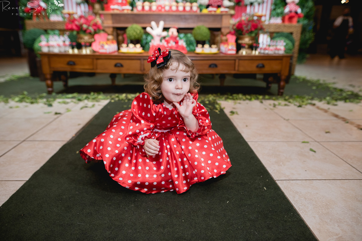 Festa infantil na cidade de bauru, festas em jau, foto de aniversario, Fotografa bebes, fotografia infantil, fotografo de aniversario, fotógrafo infantil, jau