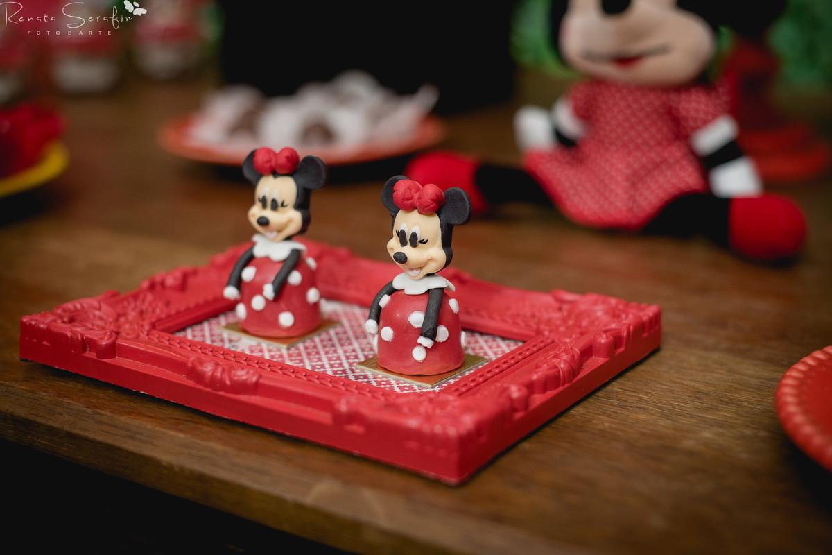 Festa infantil na cidade de bauru, festas em jau, foto de aniversario, Fotografa bebes, fotografia infantil, fotografo de aniversario, fotógrafo infantil, jau