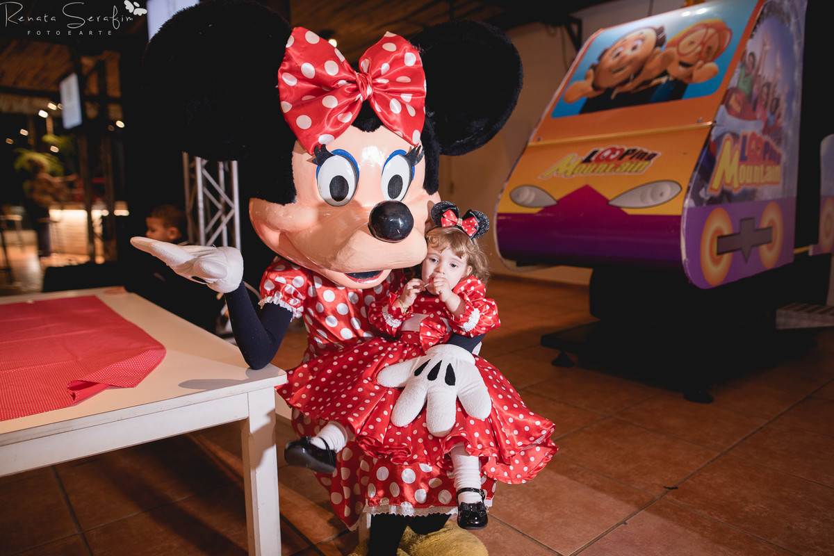 Festa infantil na cidade de bauru, festas em jau, foto de aniversario, Fotografa bebes, fotografia infantil, fotografo de aniversario, fotógrafo infantil, jau