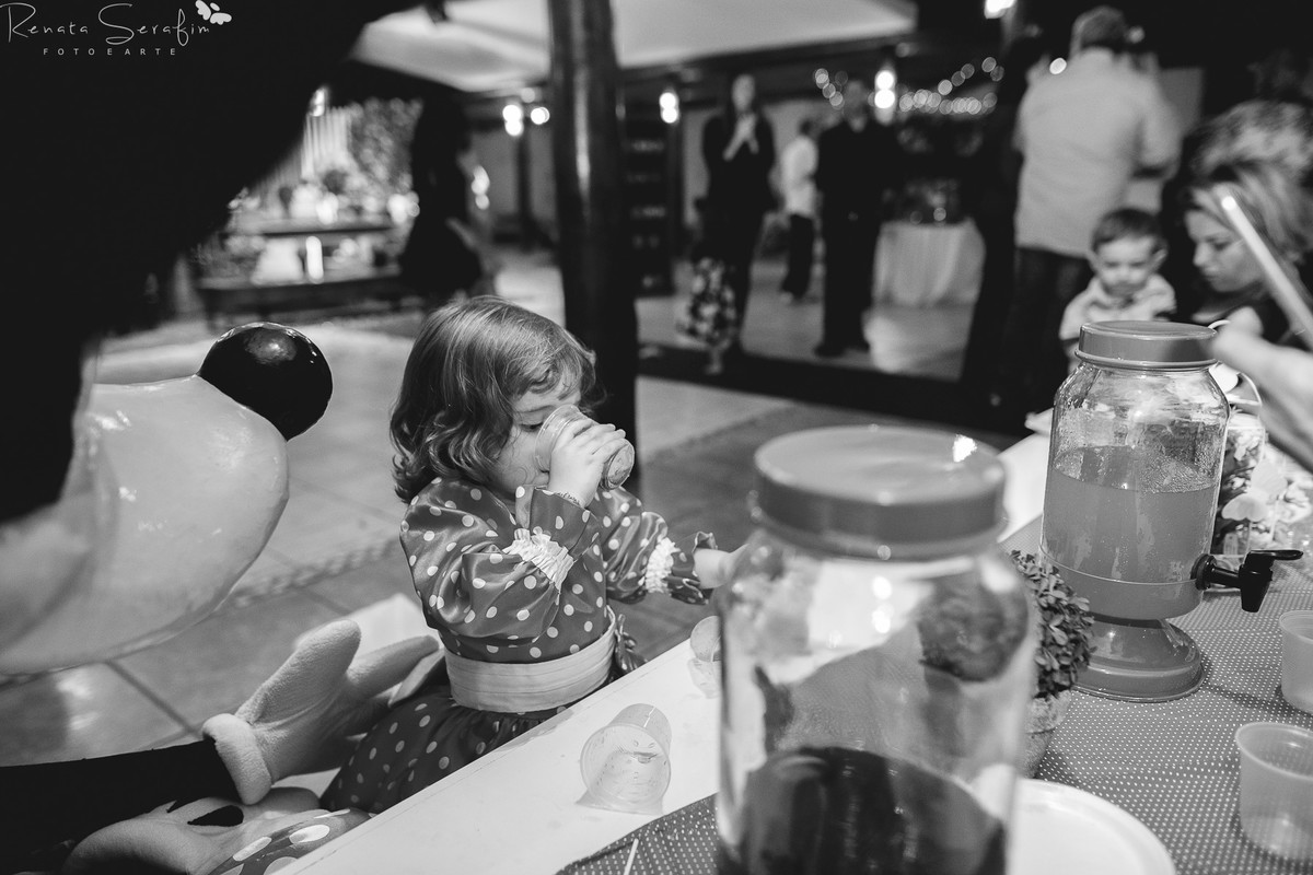 Festa infantil na cidade de bauru, festas em jau, foto de aniversario, Fotografa bebes, fotografia infantil, fotografo de aniversario, fotógrafo infantil, jau