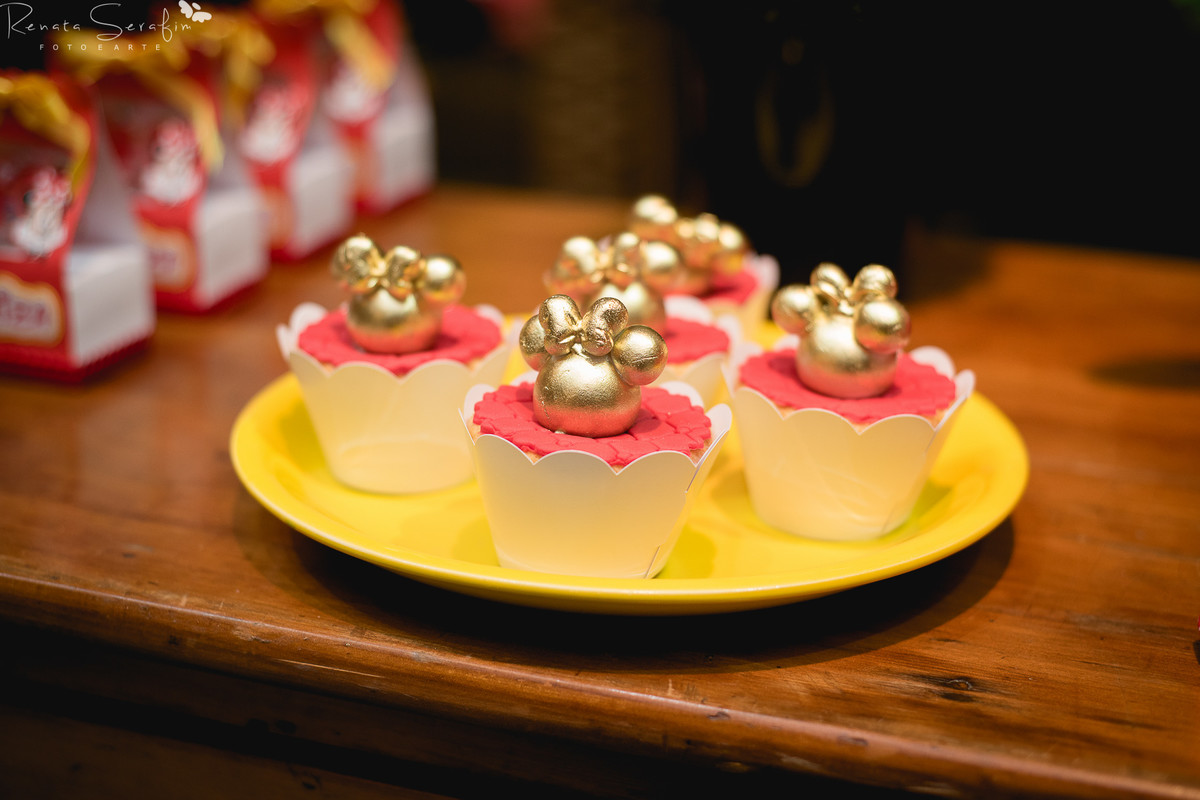 Festa infantil na cidade de bauru, festas em jau, foto de aniversario, Fotografa bebes, fotografia infantil, fotografo de aniversario, fotógrafo infantil, jau