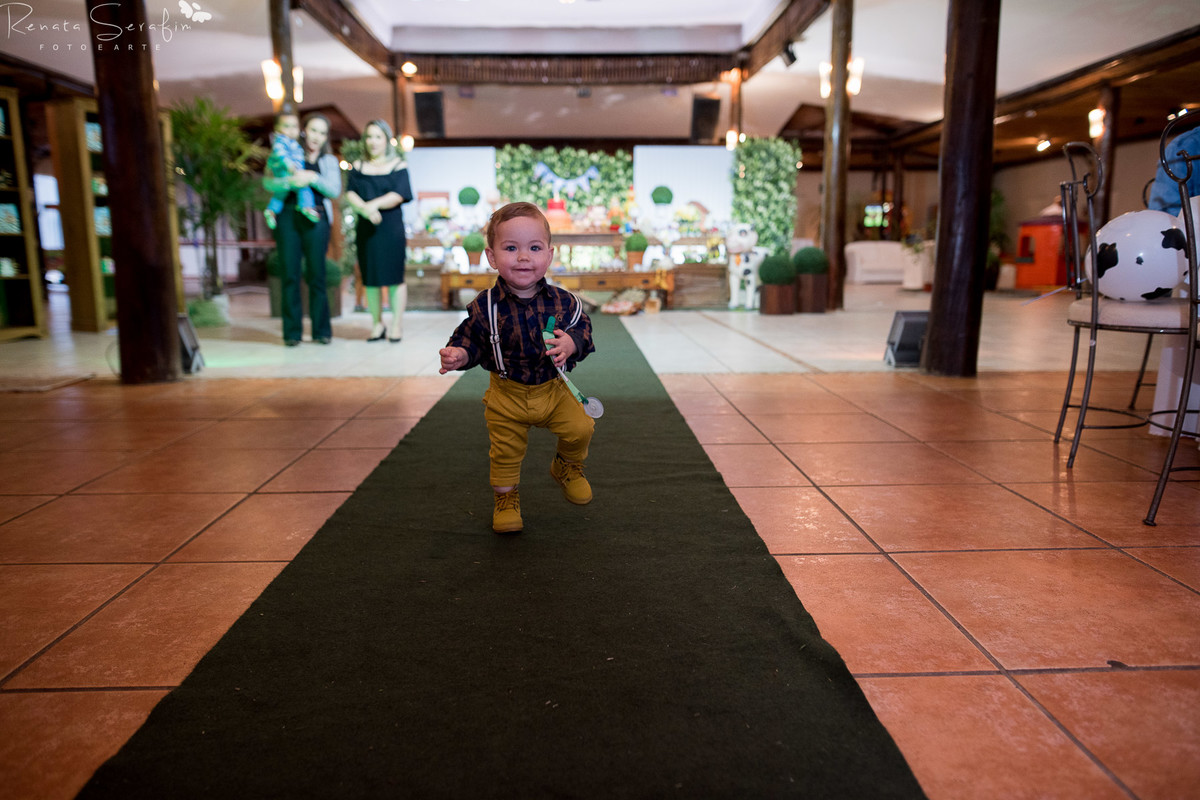festa de um ano, festa em jau, Festa infantil na cidade de bauru, Fotografa bebes, fotografia infantil, fotógrafo infantil jau, newborn, salaão de festas em jau
