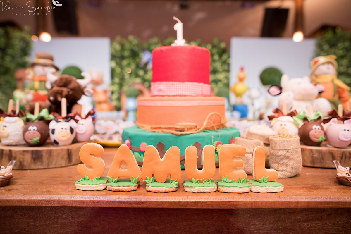 festa de um ano, festa em jau, Festa infantil na cidade de bauru, Fotografa bebes, fotografia infantil, fotógrafo infantil jau, newborn, salaão de festas em jau