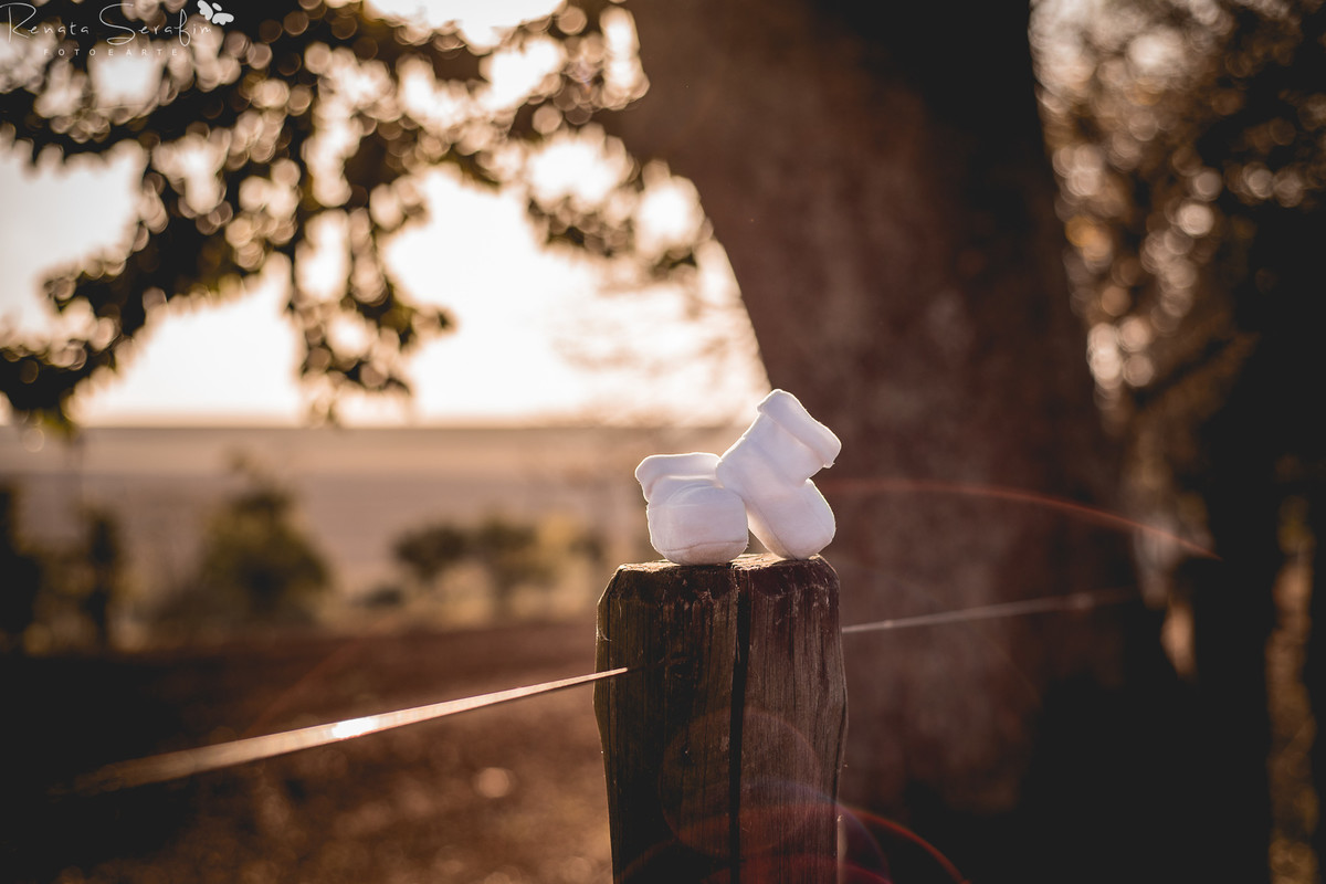 fotografia de gestante em jau, foto de gravida, ensaio fotográfico de gestante em jau, bauru, foto de bebe recem nascido em jau, book gestante em jau, ensaio gestante jau,