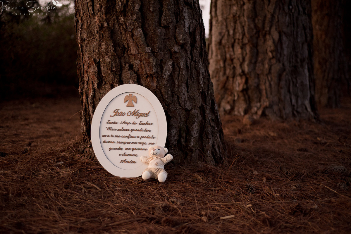 fotografia de gestante em jau, foto de gravida, ensaio fotográfico de gestante em jau, bauru, foto de bebe recem nascido em jau, book gestante em jau, ensaio gestante jau,